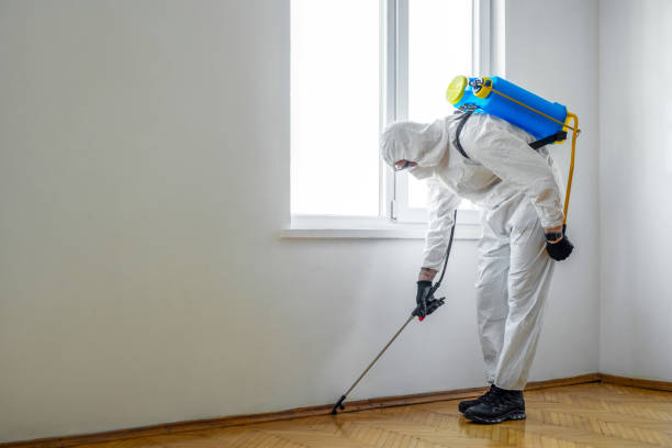 Best Pest Control for Restaurants and Food Service  in Breckenridge, MI